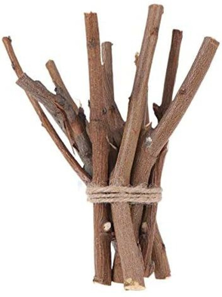Update more than 163 decorative sticks and branches latest vova.edu.vn