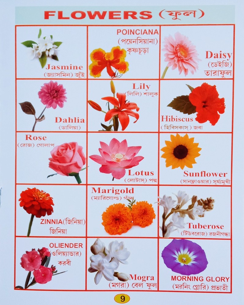 Flowers Word Book For Nursery Kid's: Buy Flowers Word Book For ...