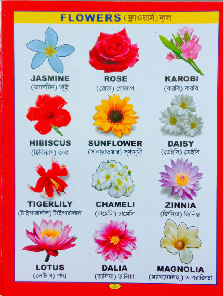 Indian Flowers Names In Hindi