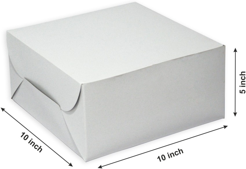 Premium Ice Cake Box For 1 Kg – 8 X 8 X 5 In - 2023