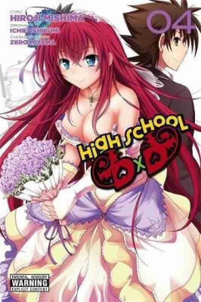 High School DxD, Vol. 10 (light novel): Lionheart of the Academy Festival  (High School DxD (light novel), 10)