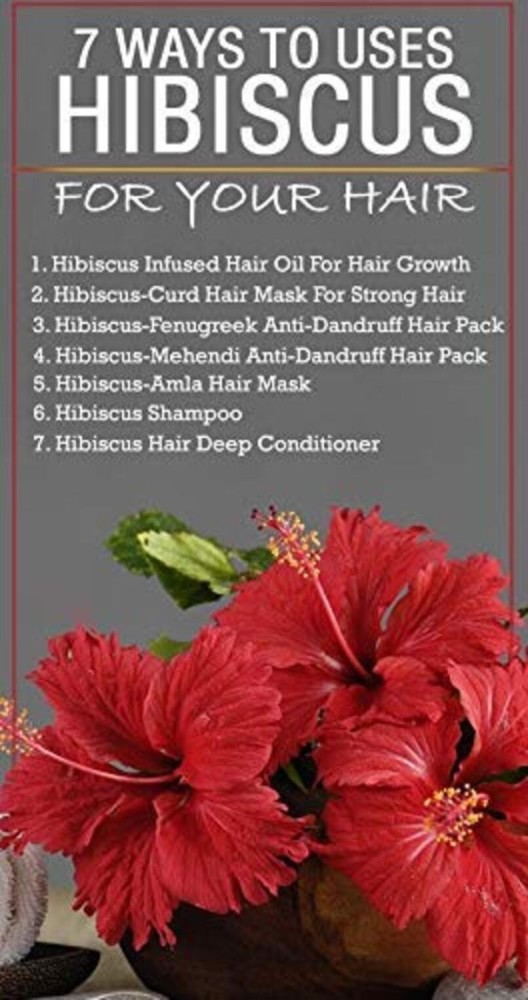 Hibiscus For Hair Growth  Kama Ayurveda
