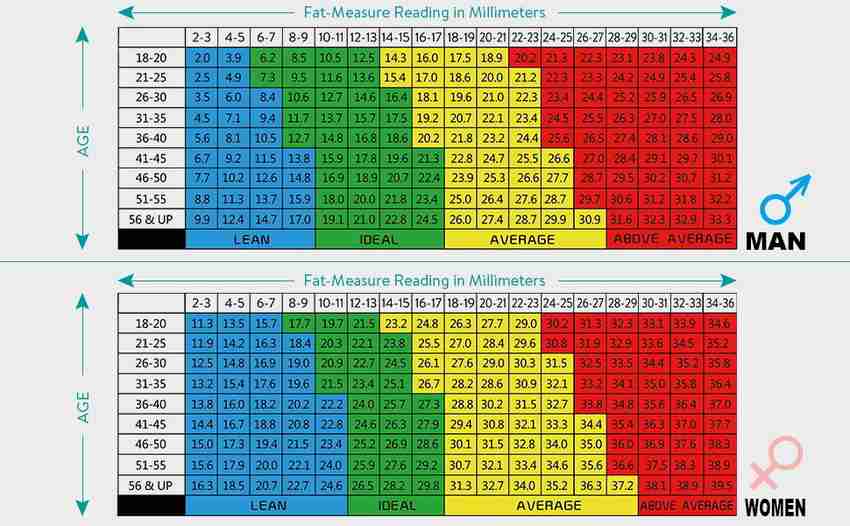 how-to-use-skinfold-calipers-to-measure-body-fat-percentage-60-off
