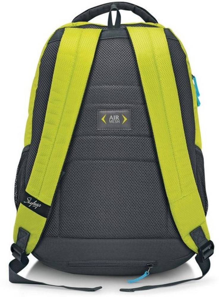 SKYBAGS Sketch Plus 03 Backpack Green 19 L Backpack Green  Price in  India  Flipkartcom