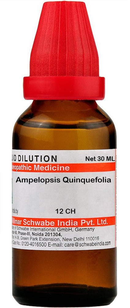 Buy Bjain Homeopathy Eupatorium Perfoliatum Dilution Online at