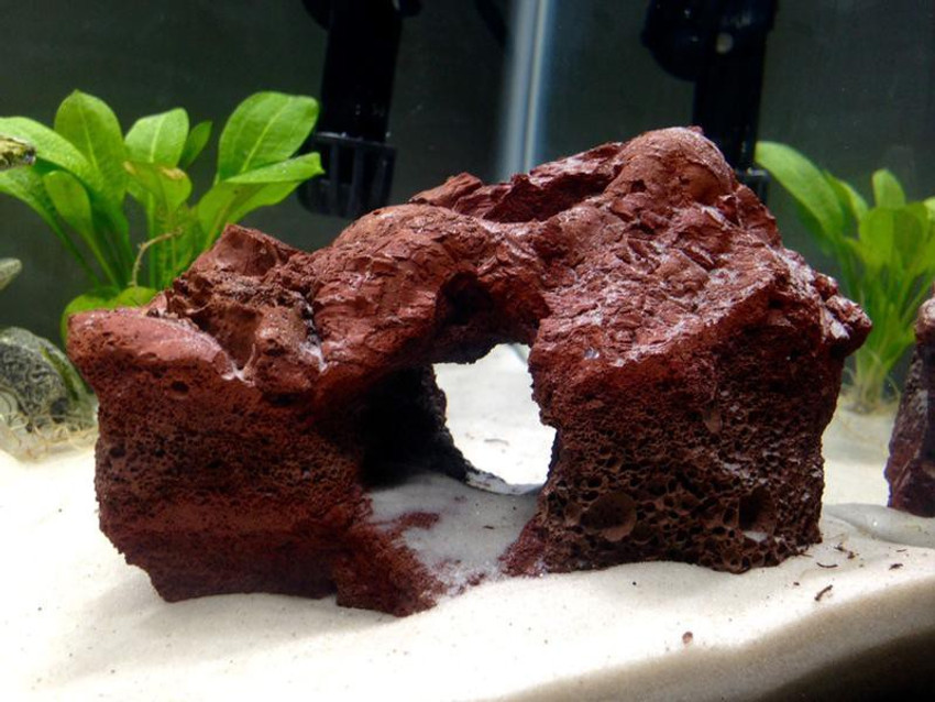 Is Red Lava Rock Dangerous To Scaleless Fish? Like, 41 OFF