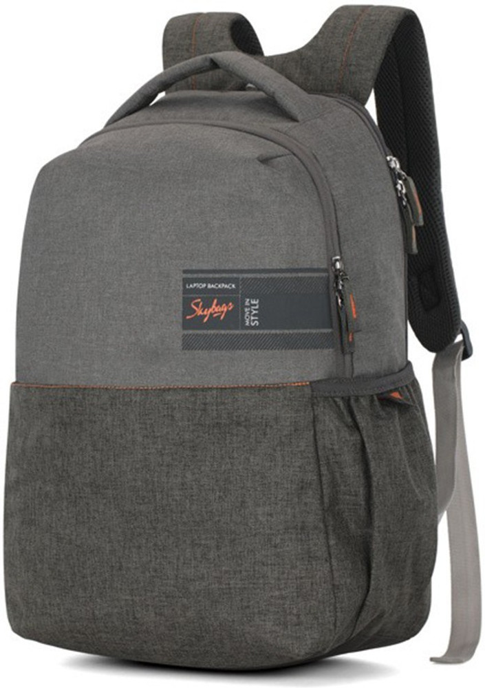 SKYBAGS Beatle 01 Grey 27 L Backpack 