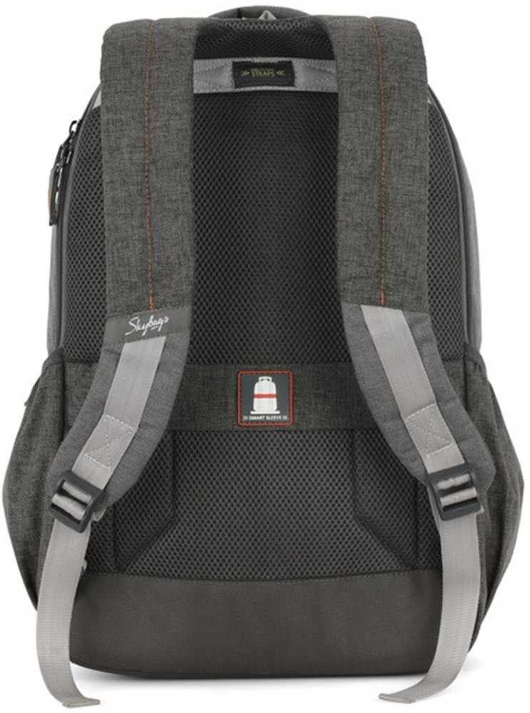 SKYBAGS Beatle 01 Grey 27 L Backpack 