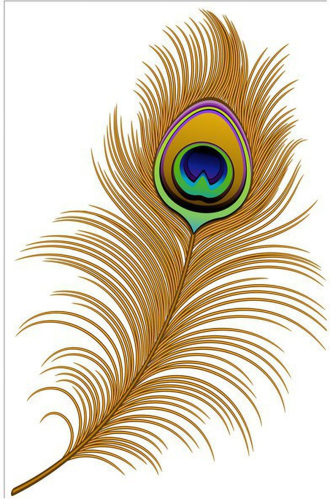 single peacock feather wallpaper hd