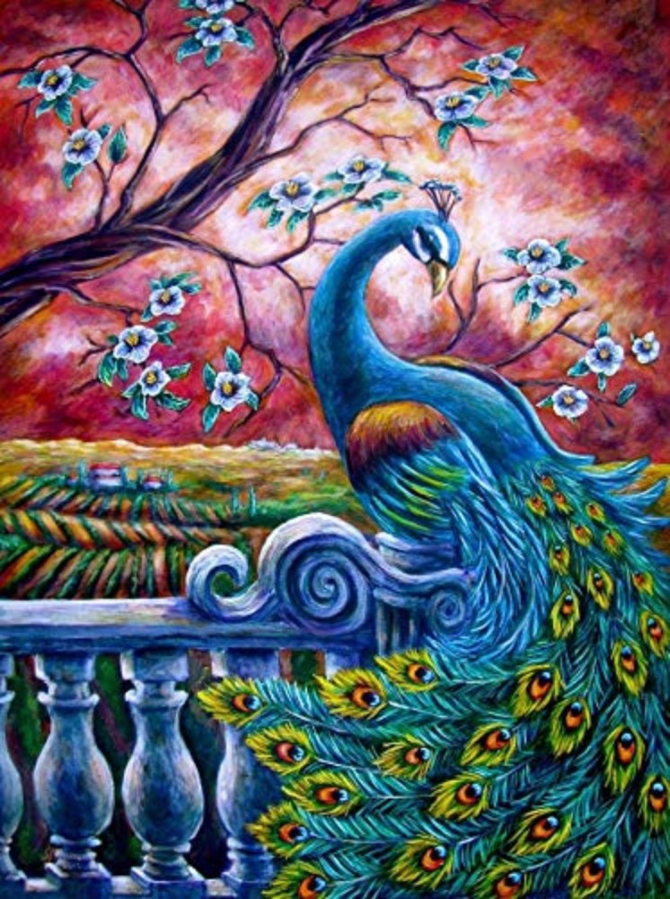 Peacock Canvas Painting Paint Number | Pictures Paints Numbers Peacock -  Painting - Aliexpress
