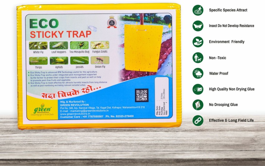 https://rukminim1.flixcart.com/image/850/1000/kqidx8w0/insect-repellent/x/r/i/1-eco-sticky-trap-for-garden-farm-glue-trap-yellow-sticky-trap-original-imag4ge5hvchwcz7.jpeg?q=90