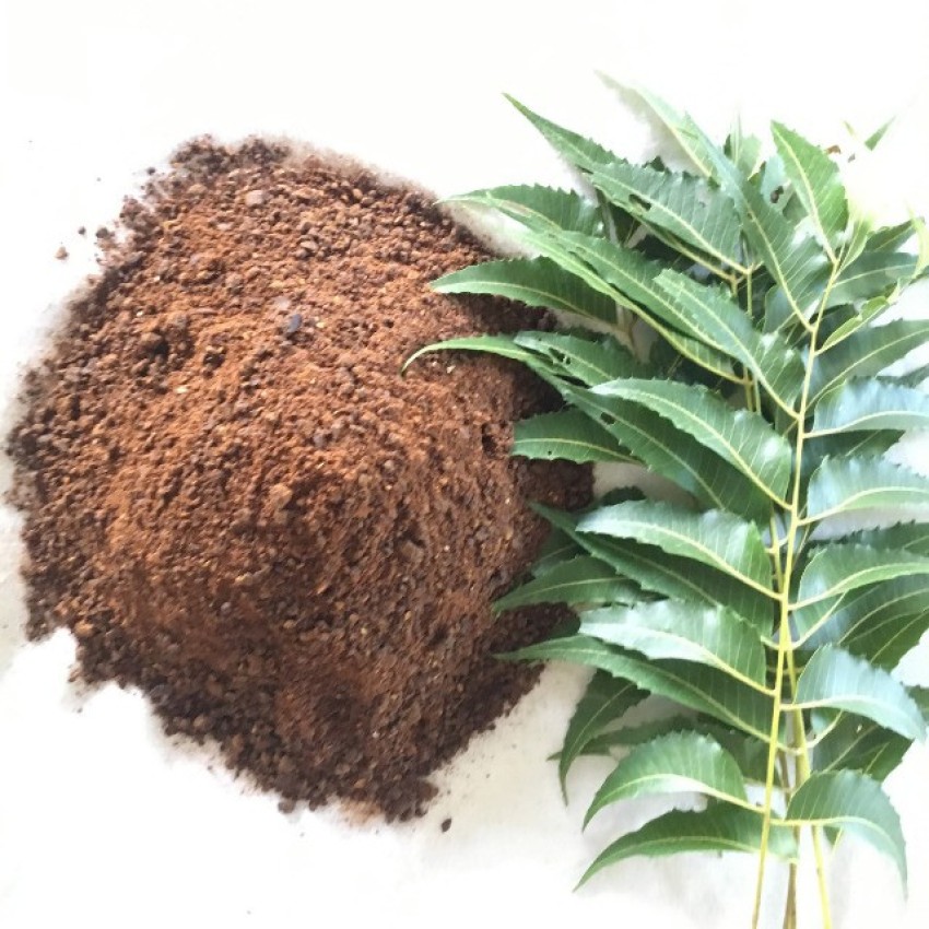 What is Neem Cake Powder? And How To Use It As Fertilizer? | The House Of  Terra
