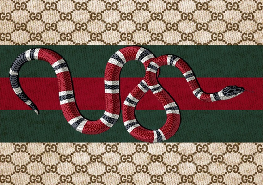 Gucci snake wallpaper by HighTimes  Download on ZEDGE  3156