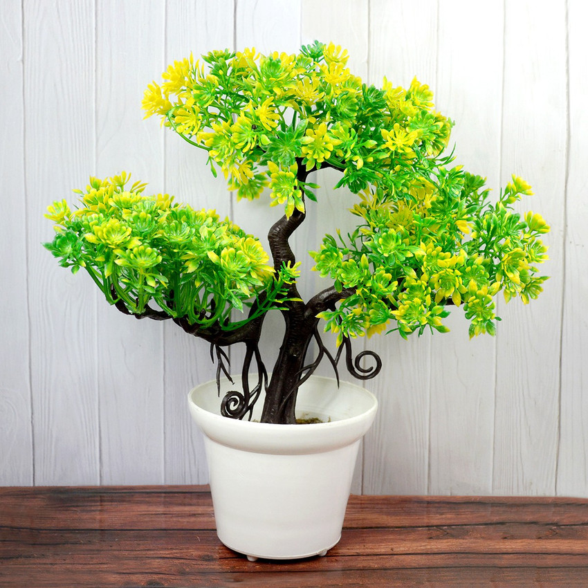 Details 143+ gift bonsai tree india latest kenmei.edu.vn