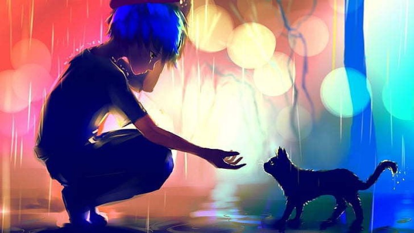Cute Anime Cat Boy Wallpapers  Wallpaper Cave