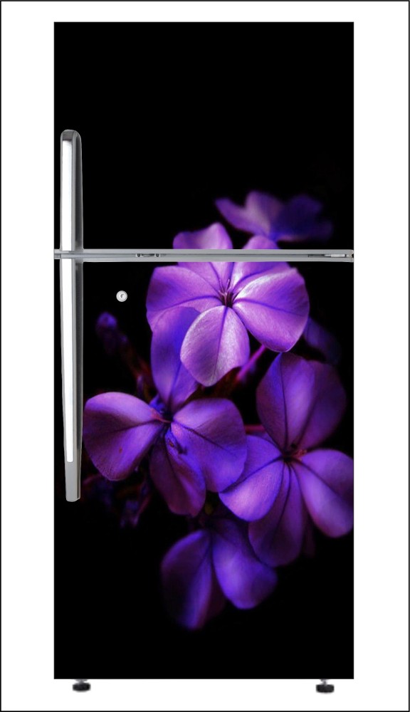 Decoration Designs 60 cm Flower dark purple Large Single Door Fridge  Wallpaper And Decal Self Adhesive Fridge Wallpaer_Water Droplet Print Self  Adhesive Sticker Price in India - Buy Decoration Designs 60 cm