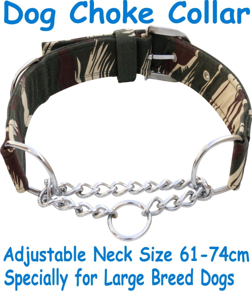 Large dog 2024 choke collar