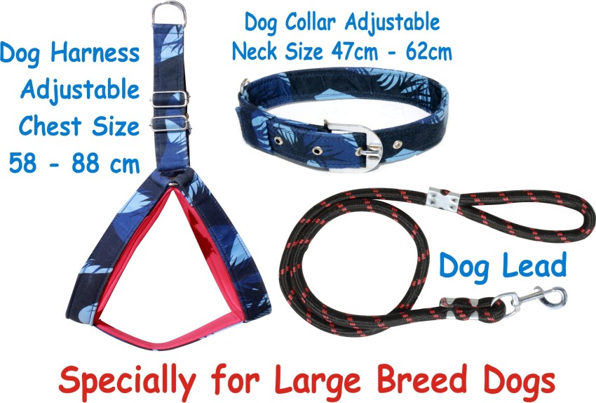 PEDIGONE Dog Belt Combo of Blue Military Printed Dog Collar with Dog Leash  Specially for Small Breed Dog Collar & Leash Price in India - Buy PEDIGONE  Dog Belt Combo of Blue