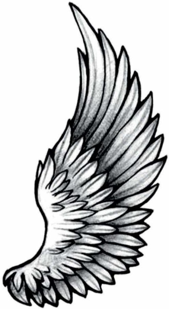 Tattoo Design Pictures Of Different Stylized Wings Vector Illustrations For  S Design Stock Illustration  Download Image Now  iStock