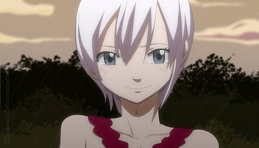 30 Sexiest Fairy Tail Female Characters Ranked Including 100 Years Quest   OtakusNotes