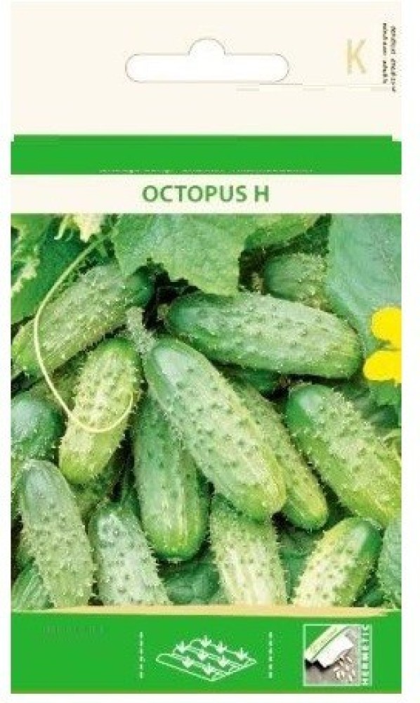 Qualtivate ™ Cucumber Gherkin OCTOPUS H Seeds Seed Price in India - Qualtivate ™ Cucumber Gherkin OCTOPUS H Seeds Seed online at Flipkart.com
