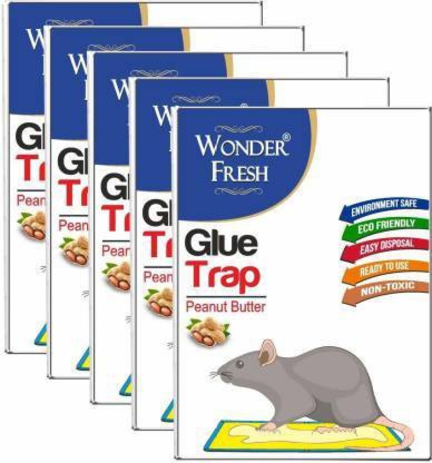 Lizard Glue Trap EN-167 | Poison-free | Effective | 3 PC PACK