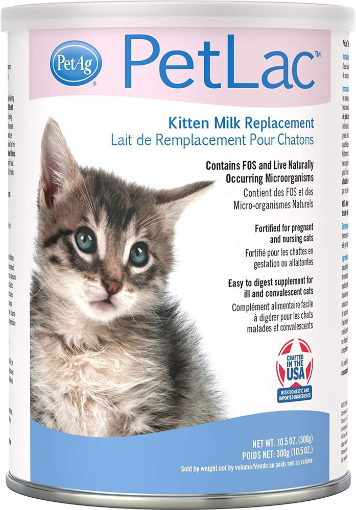 Kitten Milk lupon.gov.ph