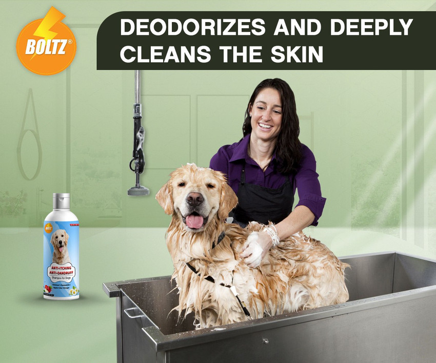 25 Best Smelling Dog Shampoos In 2023 Discover Magazine