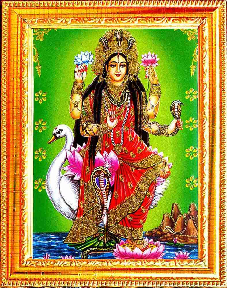 SUNINOW MANASA DEVI | NAG DEVI | GODDESS OF SNAKES | HINDU GODDESS ...