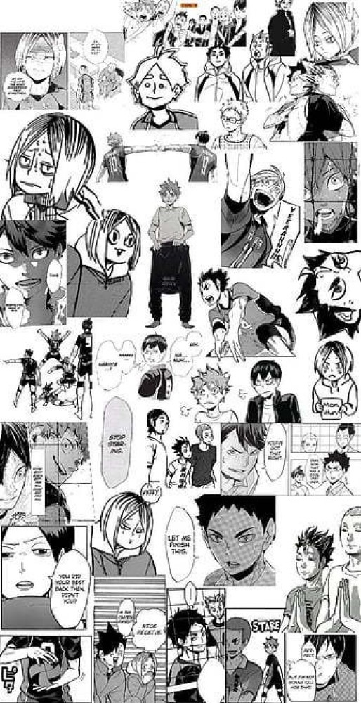 haikyuu manga after animeTikTok Search