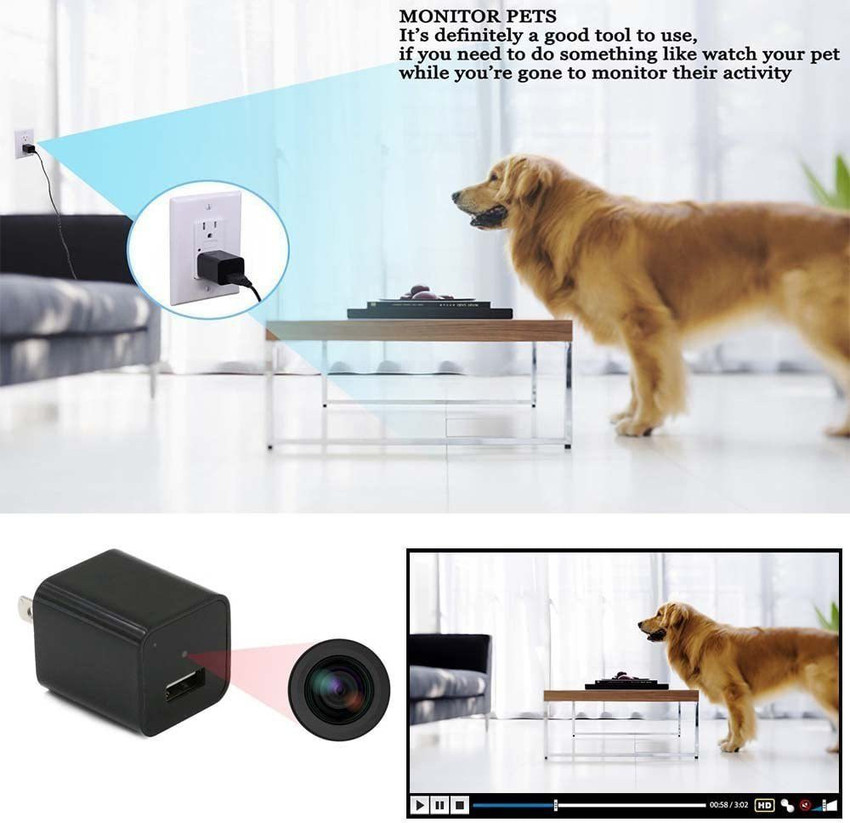 Details 73+ camera to watch pets latest