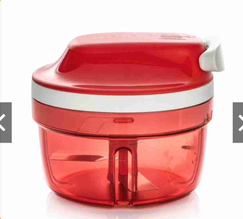 TUPPERWARE Smart Chopper 1pc Vegetable & Fruit Chopper Price in India - Buy  TUPPERWARE Smart Chopper 1pc Vegetable & Fruit Chopper online at