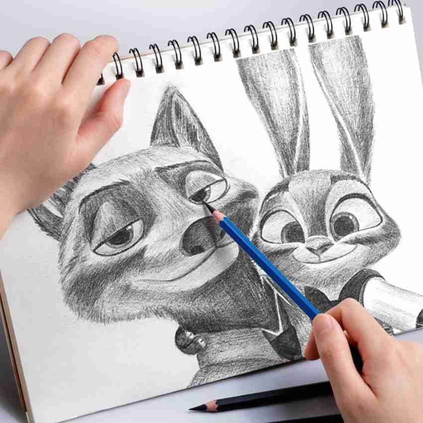 https://rukminim1.flixcart.com/image/850/1000/kwcfngw0/art-set/t/w/i/34-pieces-professional-drawing-pencils-and-sketch-kit-for-artist-original-imag9fj4yhz4hrvn.jpeg?q=20