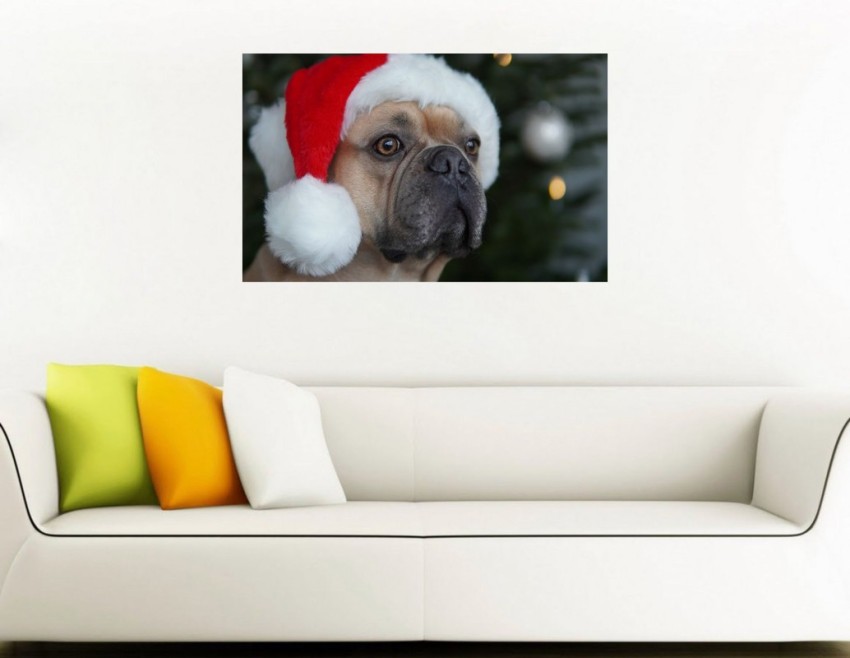Download Cavalier Puppy Christmas Presents Wallpaper  Wallpaperscom
