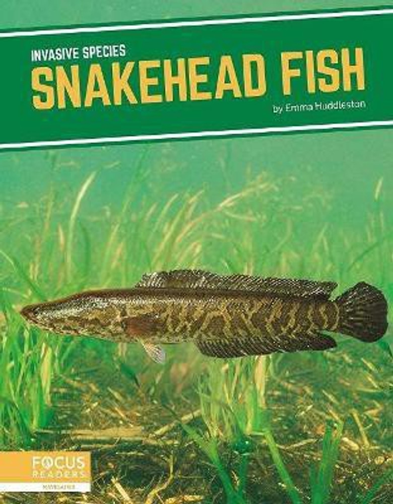 Invasive Species: Snakehead Fish: Buy Invasive Species: Snakehead Fish by Huddleston Emma at Low Price in India Invasive Species: Snakehead Fish: Buy Invasive Species: Snakehead Fish by Huddleston Emma at Low Price in India