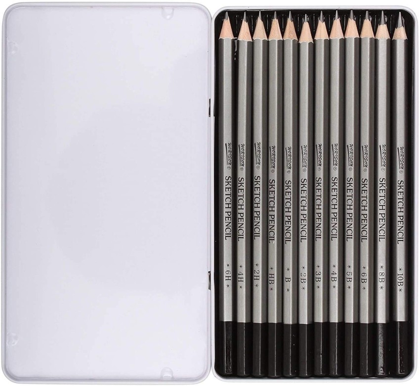  dainayw Professional Drawing Sketching Pencil Set, 12 Pieces  Art Pencils 10B, 8B, 6B, 5B, 4B, 3B, 2B, B, HB, 2H, 4H, 6H Graphite Shading  Pencils for Beginners & Pro Artists 