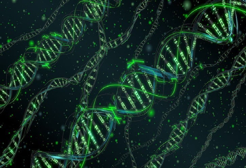 Dna 3d Wallpaper