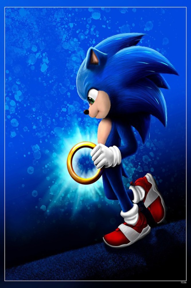 Sonic Forces Wp Classic Sonic Espio Shadow Silver Sonic Sonic Forces Matte  Finish Poster Paper Print - Animation & Cartoons posters in India - Buy  art, film, design, movie, music, nature and