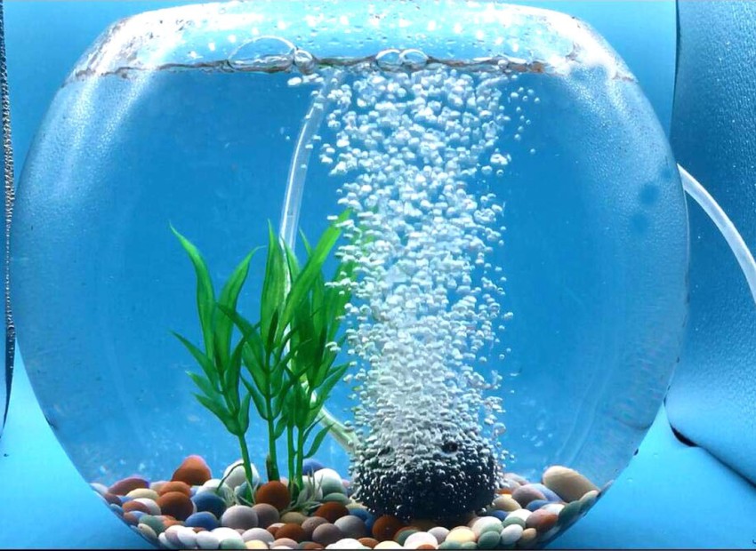 4.92 inch 12 LEDs Fish Tank Light, Bubbler Stone, | Ubuy Angola