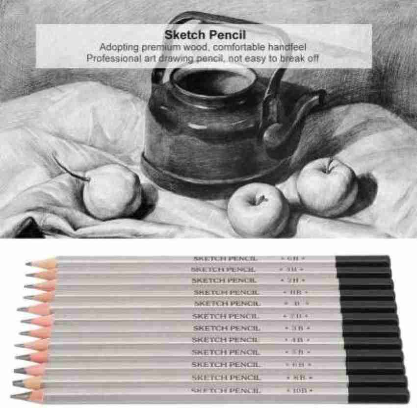 Levin Art Graphite Professional Drawing Sketching Pencil  Set- Artist Grade Degree Pencils 10B, 8B, 6B, 5B, 4B, 3B, 2B, B, HB, 2H, 4H  and 6H (Pack of 12), Art Blending