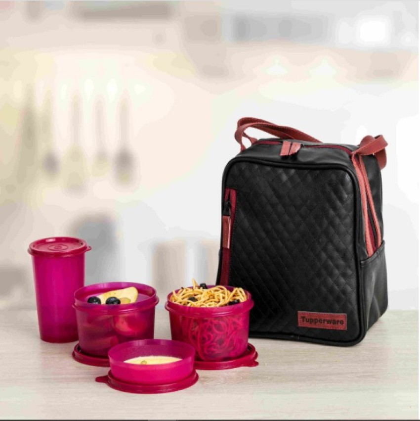 Buy Tupperware Best lunch Box Set with Bag 4 pieces Online at Low Prices in  India  Amazonin