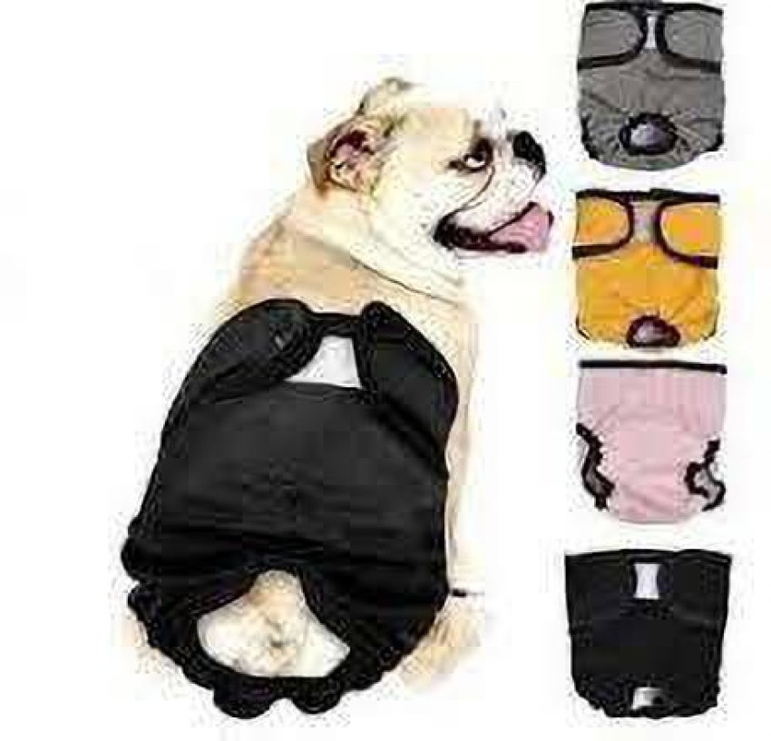 Dog Sanitary Pants 6 Sizes Female Pet Dog Puppy Diaper Nappy Doggy Kitten  Physiological Sanitary Briefs Menstrual Suspender Pants Underwear PantsL   Amazonin पलत पशओ क समन