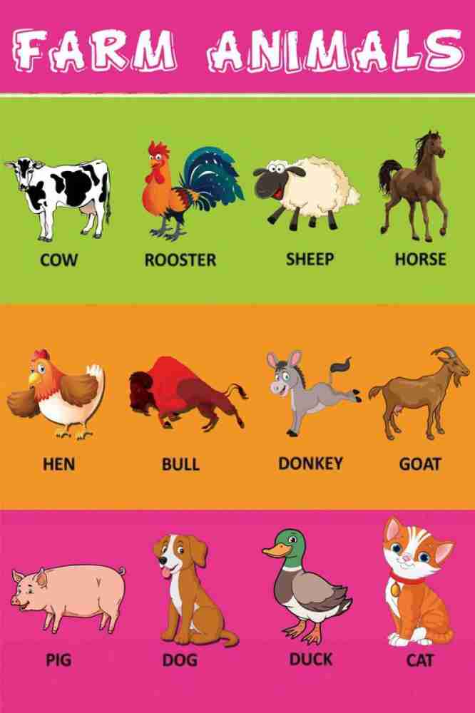 Kids Learning Sticker Poster|Farm Animals Name|Educational Sticker Poster  for Living Room, Study Room, Kindergarten|1Pc|Decorative Wall Sticker  Poster Paper Print - Educational, Decorative posters in India - Buy art,  film, design, movie, music,