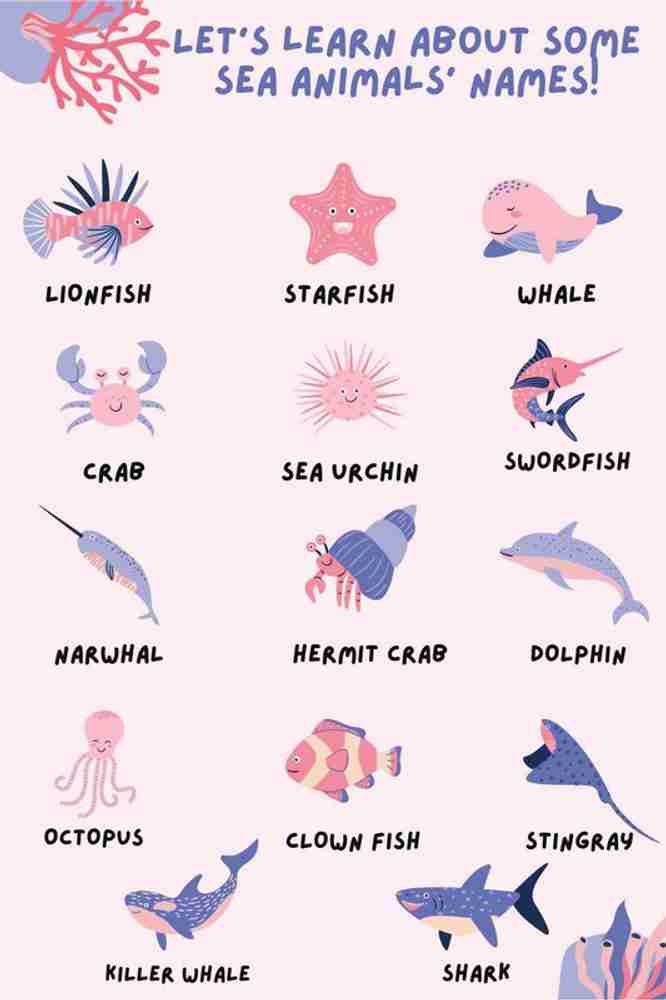 Sea Animals Wall Sticker Poster|Educational Sticker Poster For Kids Room Decoration|Sticker Poster For Study Rooms, Kindergarten, Kids Room|1 Pc Paper Print - Decorative posters in India - Buy art, film, design, movie, Sea Animals Wall Sticker Poster|Educational Sticker Poster For Kids Room Decoration|Sticker Poster For Study Rooms, Kindergarten, Kids Room|1 Pc Paper Print - Decorative posters in India - Buy art, film, design, movie,