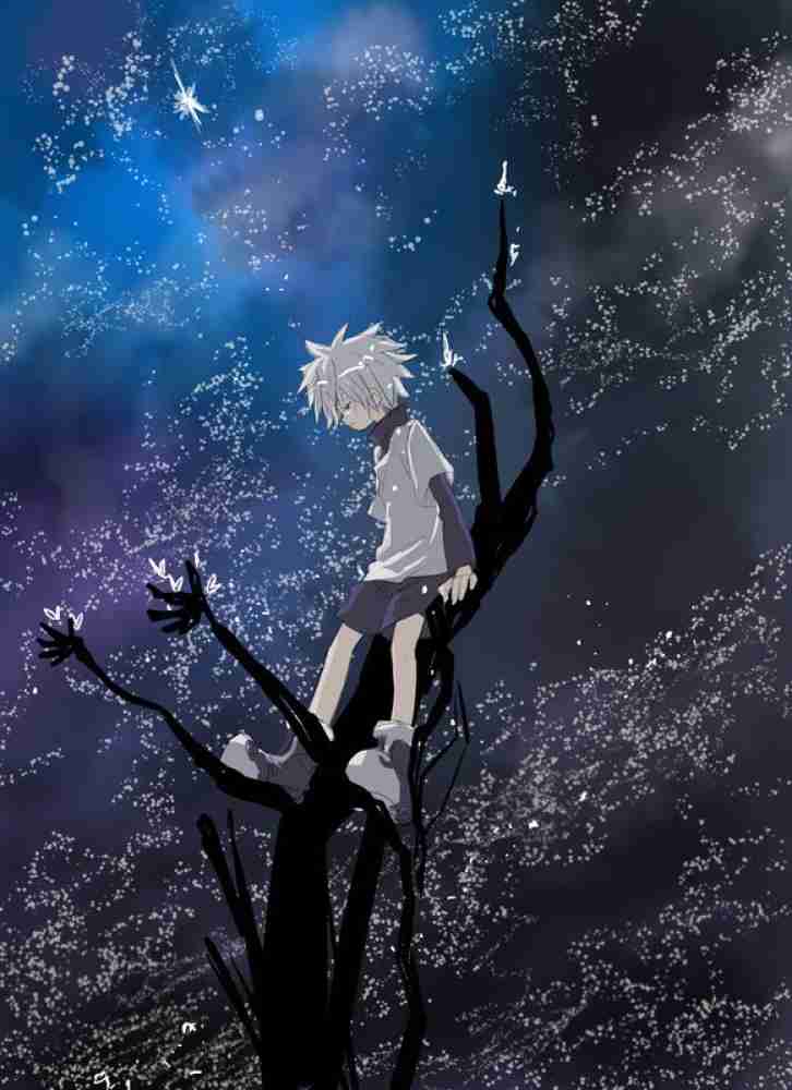 Killua Zoldyck Hunter X Hunter Anime Series Hd Matte Finish Poster Paper  Print - Animation & Cartoons posters in India - Buy art, film, design,  movie, music, nature and educational paintings/wallpapers at