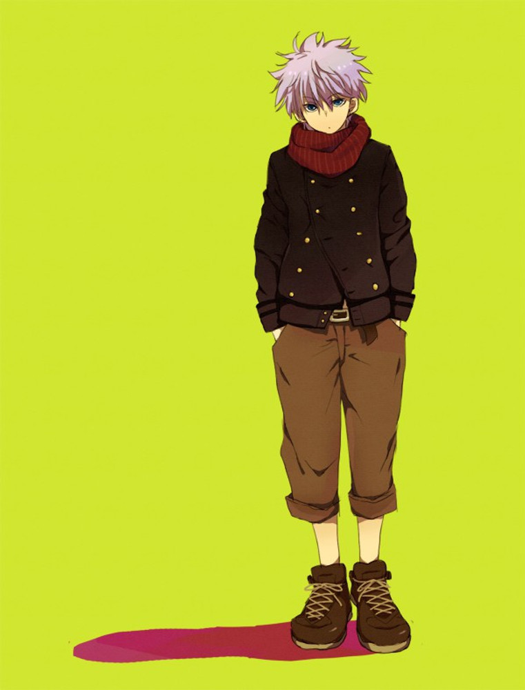 Killua Zoldyck Hunter X Hunter Anime Series Hd Matte Finish Poster Paper  Print - Animation & Cartoons posters in India - Buy art, film, design,  movie, music, nature and educational paintings/wallpapers at