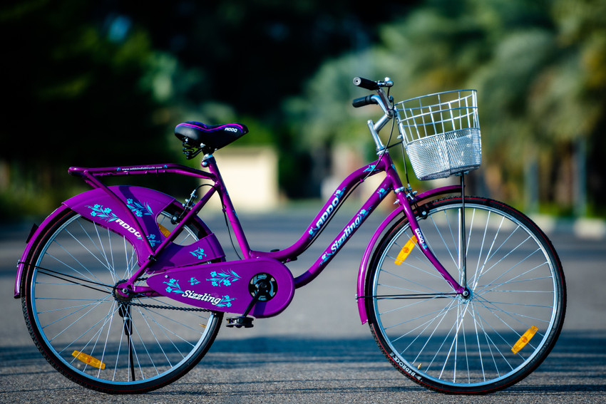 ladies stylish cycle