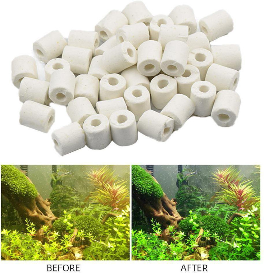 Top 134+ ceramic rings aquarium best xkldase.edu.vn