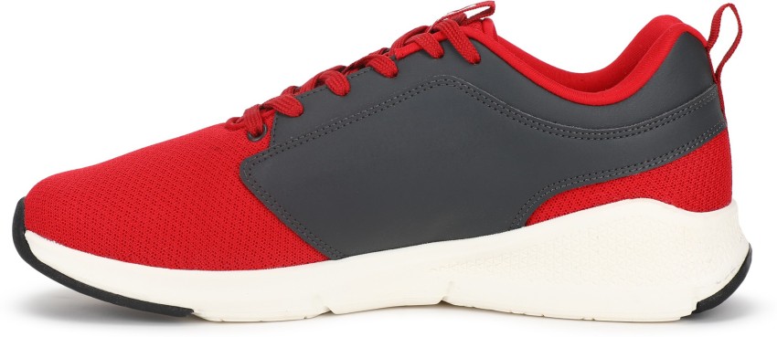 Tenis Louis Vuitton T.36