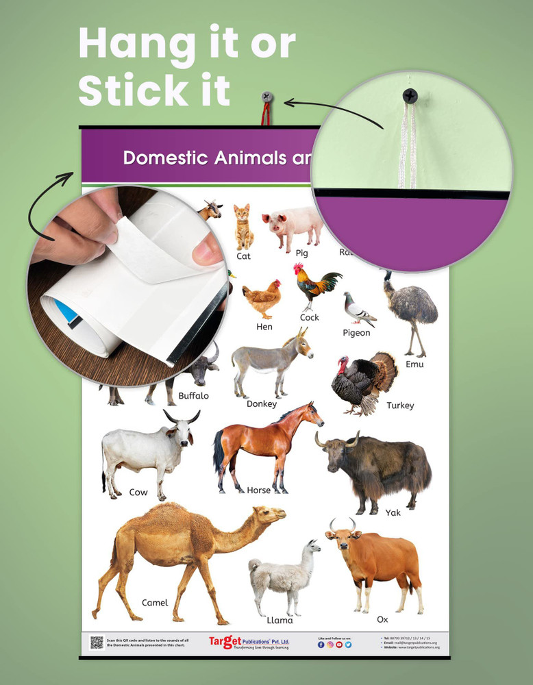 Kids Learning Wall Chart | Domestic Animals & Birds Chart | Chart For Children: Buy Kids Learning Wall Chart | Domestic Animals & Birds Chart | Chart For Children by Target Publications Kids Learning Wall Chart | Domestic Animals & Birds Chart | Chart For Children: Buy Kids Learning Wall Chart | Domestic Animals & Birds Chart | Chart For Children by Target Publications